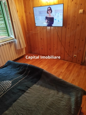 Vila superba 7 camere, Provita de Jos, 22.000 mp teren - imagine 12