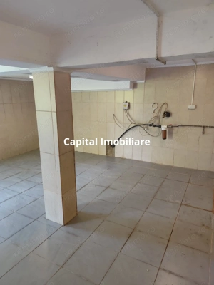 Vila superba 7 camere, Provita de Jos, 22.000 mp teren - imagine 6