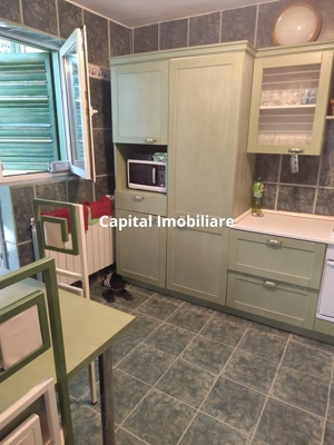 Vila superba 7 camere, Provita de Jos, 22.000 mp teren - imagine 15