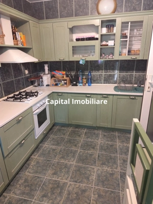 Vila superba 7 camere, Provita de Jos, 22.000 mp teren - imagine 14