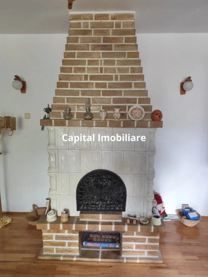 Vila superba 7 camere, Provita de Jos, 22.000 mp teren - imagine 16