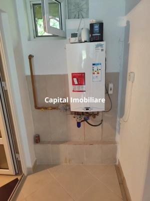 Vila superba 7 camere, Provita de Jos, 22.000 mp teren - imagine 5