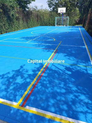 Vila superba 7 camere, Provita de Jos, 22.000 mp teren - imagine 3