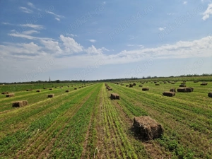 Casa, teren 2ha, curent trifazat , fantana - imagine 5