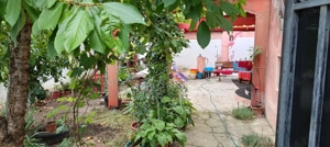 Vând casă(vila) DN2  la sosea - imagine 2