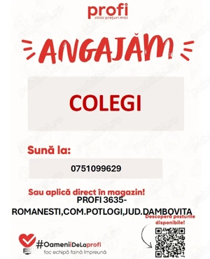 Angajam la Profi 3635 Romanesti,com.Potlogi,Dambovita