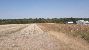 Caciulati! Teren de vanzare - 1500 mp la 15 minute de capitala - imagine 4 Caciulati! Teren de vanzare - 1500 mp la 15 minute de capitala - imagine 4