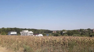 Caciulati! Teren de vanzare - 1500 mp la 15 minute de capitala - imagine 3 Caciulati! Teren de vanzare - 1500 mp la 15 minute de capitala - imagine 3