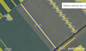 Vanzare teren intravilan 17.500 mp Jud. Ialomita - imagine 3
