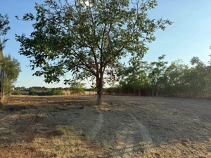 Teren intravilan 2.192 mp cu front 20 m – Seceani, Timiș