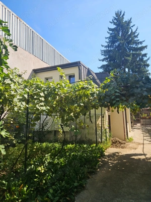 Casa de vanzare P +1E direct proprietar - zona Stefan cel Mare - Dinamo - imagine 4 Casa de vanzare P +1E direct proprietar - zona Stefan cel Mare - Dinamo - imagine 4