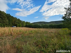 Vand teren agricol la padure, langa Cetatuia!