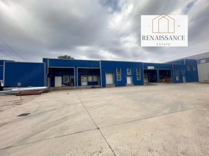 3 Hale Clasa A | 11.250mp Construiti 25.450mp Teren | Freidorf - imagine 5