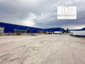 3 Hale Clasa A | 11.250mp Construiti 25.450mp Teren | Freidorf - imagine 13