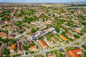 Teren Intravilan 2000 mp in Vladimirescu - imagine 10