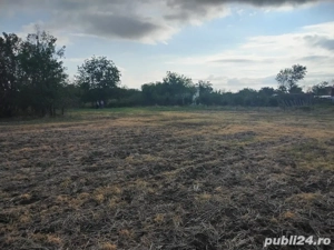 Teren Intravillan, Judetul Calarasi - imagine 3