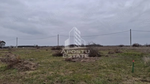 Teren intravilan 500mp Mandruloc - imagine 4