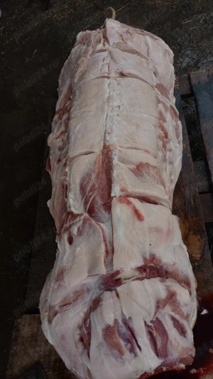 Vand porci, crescuti cu porumb. - imagine 2 Vand porci, crescuti cu porumb. - imagine 2