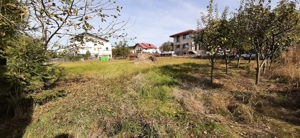 Teren Viticultori Iasi copou