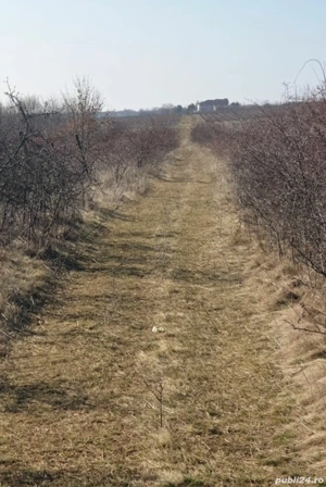 Vând teren extravilan de 6 hectare în comuna Plopu, județul Prahova  - imagine 5