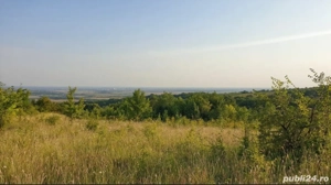 Vând teren extravilan de 6 hectare în comuna Plopu, județul Prahova  - imagine 2