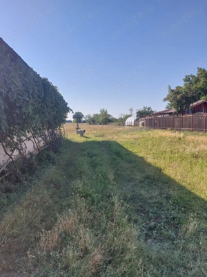 Proprietar | casa de vanzare cu teren intravilan 3516 mp | sat Cojasca - imagine 7