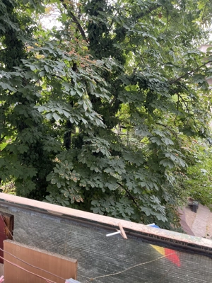 VAND APARTAMENT 2 CAMERE, UNIVERSITATE - imagine 2