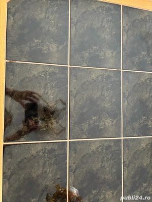 Masuta cafea sufragerie - imagine 4