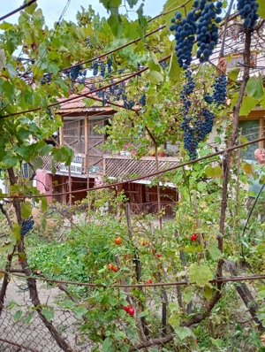 Casa Comuna Valea Mare, Jud Valcea - imagine 6