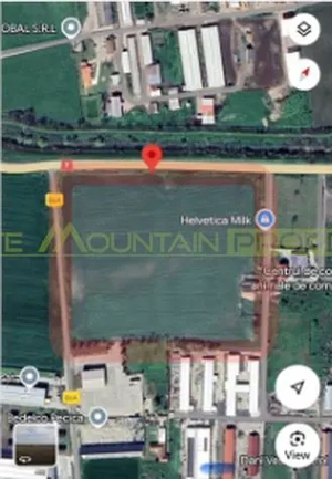 Pecica, jud Arad, 6ha teren de vanzare - imagine 2