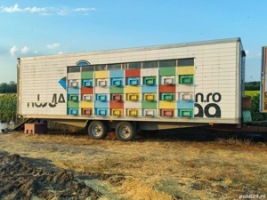 Remorcă apicolă L= 9m. două axe 48 fam. folosită în pat cald orizonal