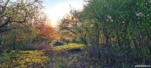 Teren de vânzare în Copou, Viticultori, Iași - imagine 5