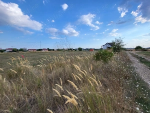 *PROPRIETAR*Intravilan 500 mp*Deschidere 18 ml*Intrarea Hortensiei*Ploiesti - Blejoi*KM 6* - imagine 3