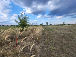 *PROPRIETAR*Intravilan 500 mp*Deschidere 18 ml*Intrarea Hortensiei*Ploiesti - Blejoi*KM 6* - imagine 7