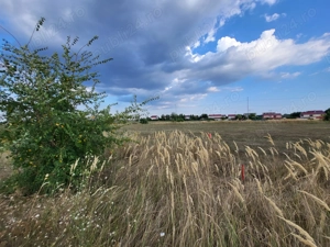 *PROPRIETAR*Intravilan 500 mp*Deschidere 18 ml*Intrarea Hortensiei*Ploiesti - Blejoi*KM 6* - imagine 2