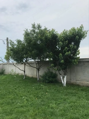 Casă de vânzare Lehliu-Gara, sat Razvani. - imagine 5