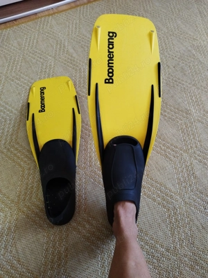 Labe înot  scufundari