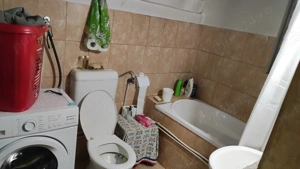 Casa de vânzare în loc.Halmeu - imagine 7