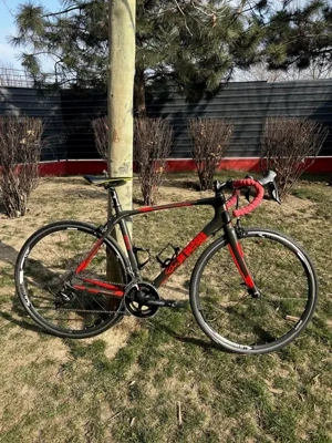 Cursiera Cinelli Saeta 105 M- 54cm
