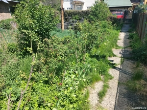 Teren 890 mp+casa 230 mp,in Copou,zona Parcul Expoziției  - imagine 3