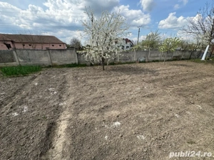 Intravilan 500-800 mp Dragsina , jud Timis - imagine 4 Intravilan 500-800 mp Dragsina , jud Timis - imagine 4