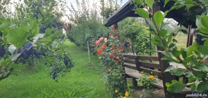 Livadă de vânzare  - imagine 10