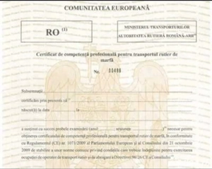 Manager transport Marfa