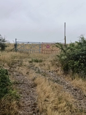 Vand teren extravilan - imagine 6