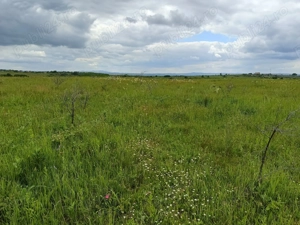 Vand teren extravilan - imagine 3