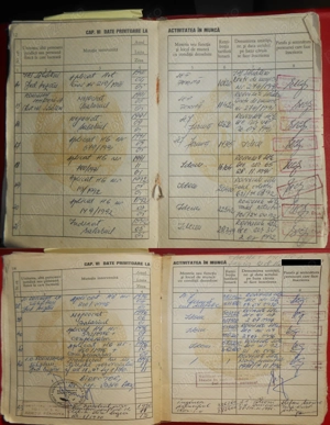 Țuica Tescovină 20 lei și Țuica distilată din vin 25 lei, Vin A, N, Roze 10 lei si Struguri Feteasca - imagine 5