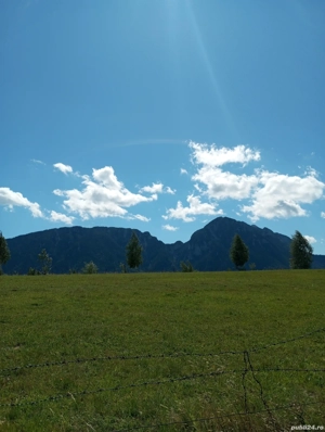 De vânzare  teren  - imagine 10 De vânzare  teren  - imagine 10