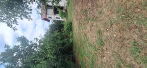 Vand casa Comana ,casa de vacanta,cu etaj 5 camere  teren 1000mp Mihai Bravu Giurgiu - imagine 6