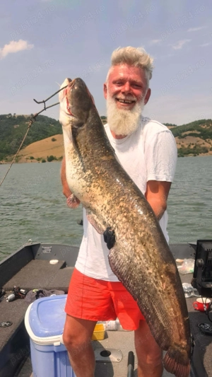 Cazare si loc de pescuit pe clisura Dunarii in Divici (sat de vacanta), @spinningladivici - imagine 5