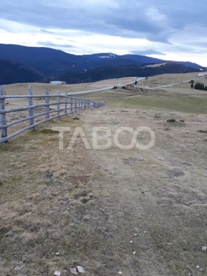 Teren extravilan de vanzare 3235 mp in Paltinis Sibiu  - imagine 2